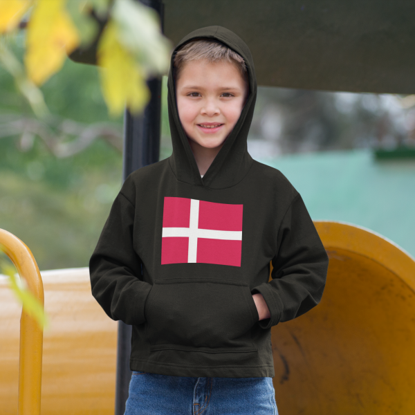 denmark-flag-hoodie-mockup-of-a-young-boy-at-a-playground-a9103